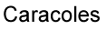 watt logo
